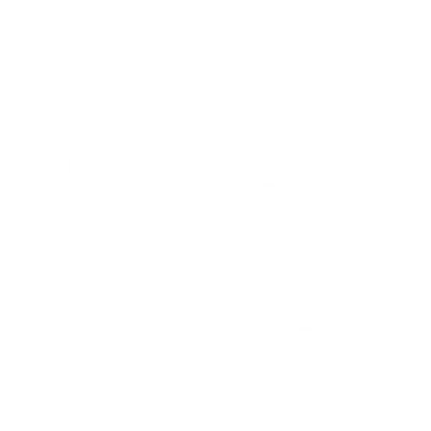 Guide in Japan?