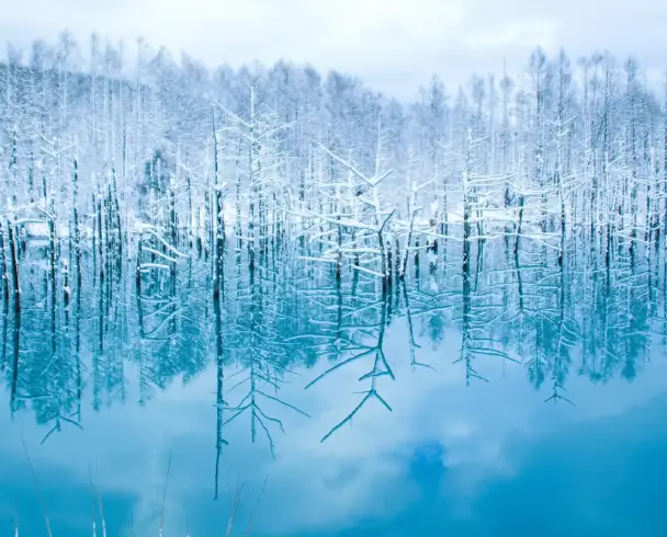 hokkaido